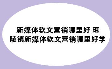 新媒体软文营销哪里好 珥陵镇新媒体软文营销哪里好学